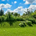 Klára