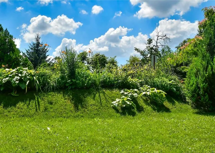 Klára